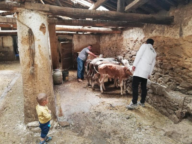 BÜYÜKOBA MAHALLESİNDE SULAMA GÜBRELEME VE HAYVAN YETİŞTİRİCİLİĞİ EĞİTİMİ faaliyet gorseli