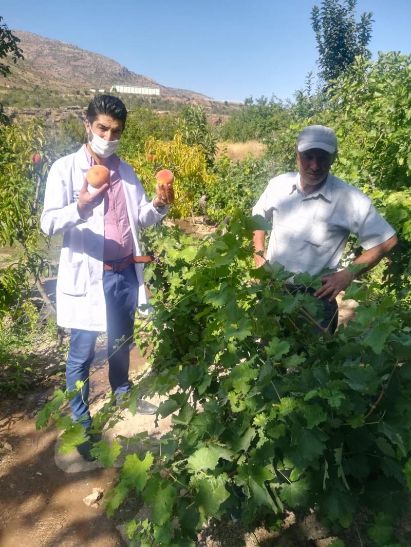 ÇİFTEPINAR MAHALLESİNDE BAHÇE BİTKİLERİ EĞİTİMİ faaliyet gorseli