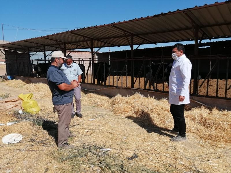 MUTLU MAHALLESİNDE SULAMA GÜBRELEME VE BAHÇE BİTKİLERİ EĞİTİMİ faaliyet gorseli