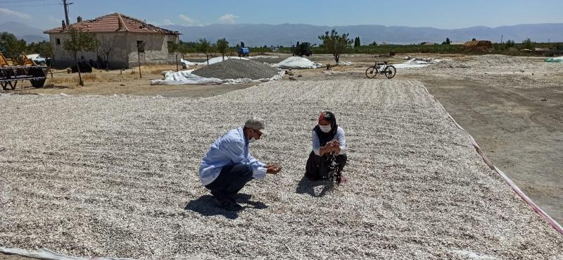ARGITHANI MAHALLESİNDE TARLA BİTKİLERİ EĞİTİMİ faaliyet gorseli