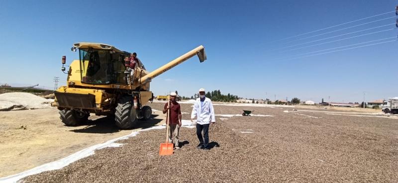İSHAKUŞAĞI MAHALLESİNDE TARLA BİTKİLERİ EĞİTİMİ faaliyet gorseli