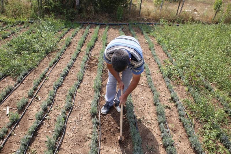 MERKEZ MAHALLEDE BAHÇE BİTKİLERİ EĞİTİMİ faaliyet gorseli