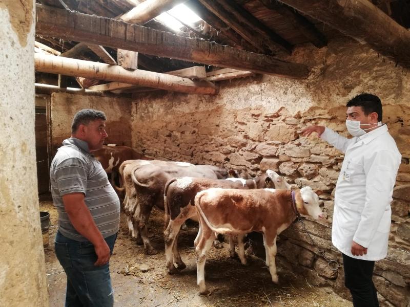 İBRAHİM ÇAVUŞ YAYLASINDA HAYVANCILIK EĞİTİMİ VE BAHÇE BİTKİLERİ EĞİTİMİ faaliyet gorseli
