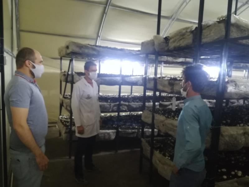 OSMANKÖSE MAHALLESİNDE BAHÇE BİTKİLERİ EĞİTİMİ faaliyet gorseli