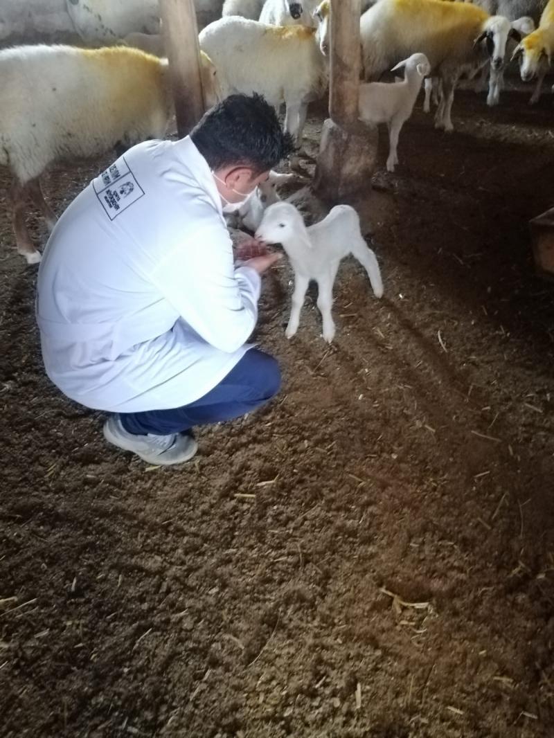 KUŞLUCA MAHALLESİNDE SULAMA GÜBRELEME VE HAYVAN YETİŞTİRİCİLİĞİ EĞİTİMLERİ faaliyet gorseli