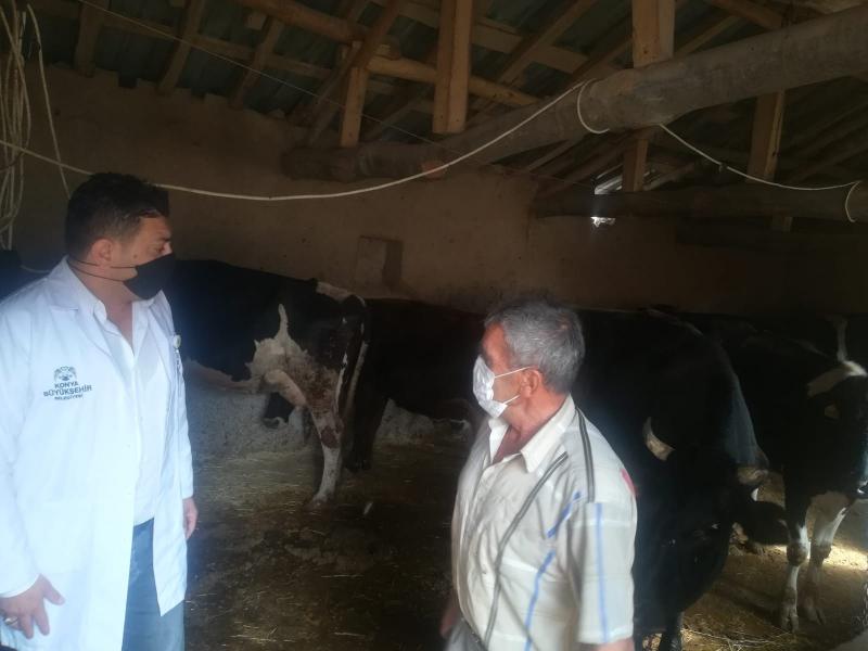 ÇATLI MAHALLESİNDE SULAMA GÜBRELEME VE HAYVAN YETİŞTİRİCİLİĞİ faaliyet gorseli
