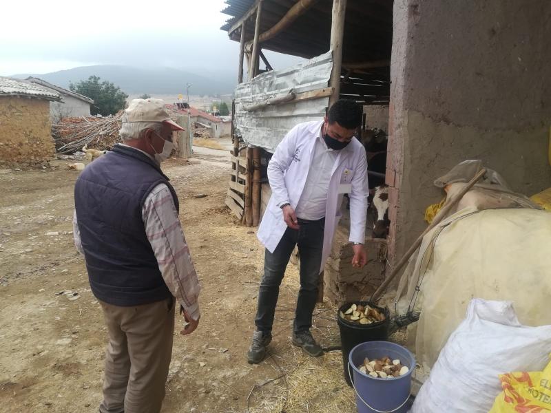 GÖKÇEYURT MAHALLESİNDE BAHÇE BİTKİLERİ VE HAYVAN YETİŞTİRİCİLİĞİ EĞİTİMLERİ faaliyet gorseli