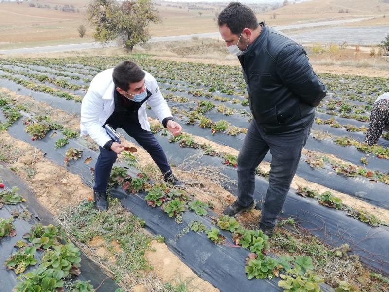 HÜYÜK MERKEZ MAHALLEDE SULAMA GÜBRELEME VE ARI YETİŞTİRİCİLİĞİ EĞİTİMİ faaliyet gorseli