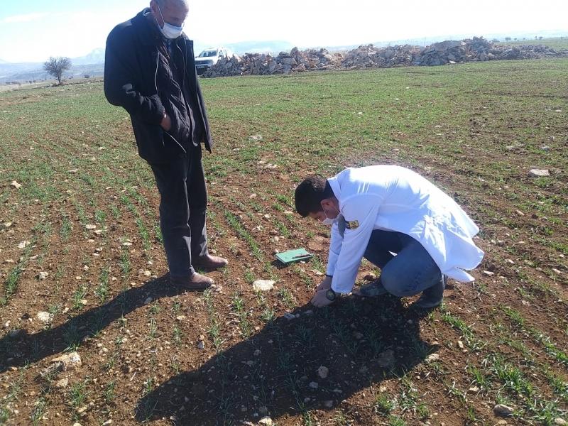 KORUALAN MAHALLESİNDE HAYVAN YETİŞTİRİCİLİĞİ VE SULAMA GÜBRELEME EĞİTİMLERİ faaliyet gorseli