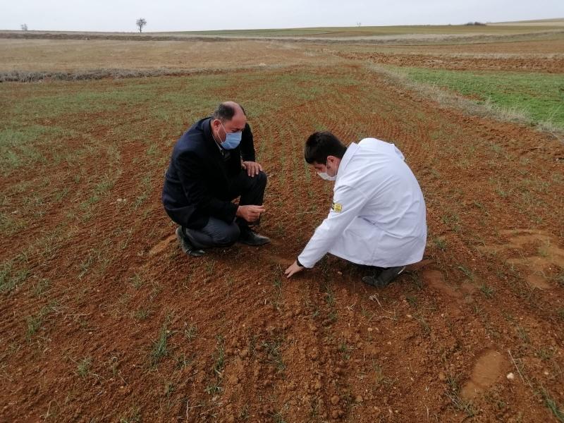 YAZLICA MAHALLESİNDE HAYVAN YETİŞTİRİCİLİĞİ VE SULAMA GÜBRELEME EĞİTİMİ faaliyet gorseli