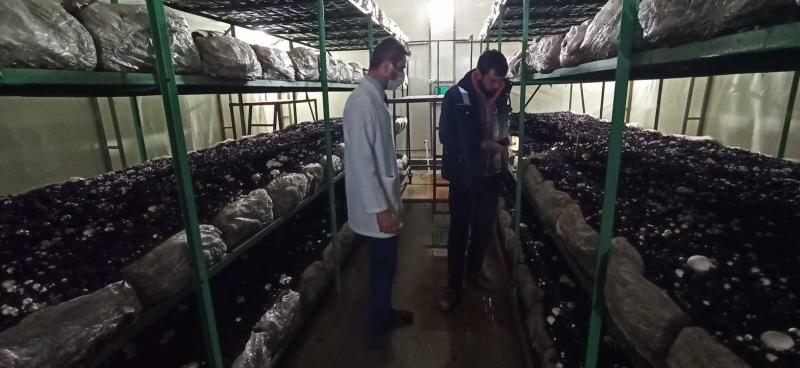 YAYLAPINAR MAHALLESİNDE BAHÇE BİTKİLERİ EĞİTİMİ  faaliyet gorseli