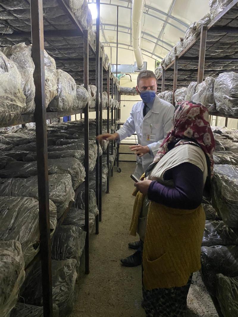 YAZDAMI MAHALLESİNDE BAHÇE BİTKİLERİ EĞİTİMİ faaliyet gorseli