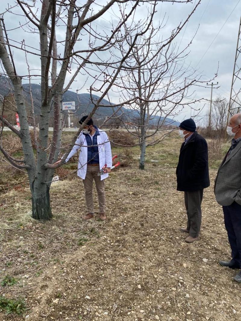 SEFAKÖY MAHALLESİNDE BAHÇE BİTKİLERİ VE GÜVENLİ GIDA EĞİTİMİ faaliyet gorseli