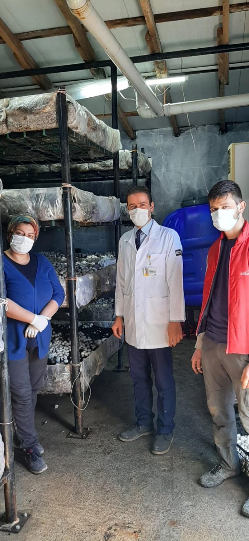 KAYAPINARI MAHALLESİNDE BAHÇE BİTKİLERİ VE TARLA BİTKİLERİ EĞİTİMİ faaliyet gorseli