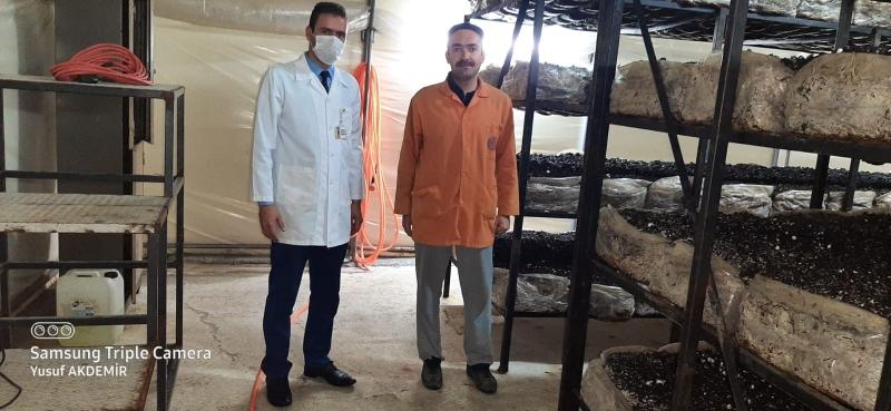 MERKEZ YERLEŞİM YERİNDEBAHÇE BİTKİLERİ EĞİTİMİ faaliyet gorseli