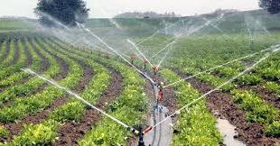 HASANOBA YERALTI SULARI KUYULARI YAĞMURLAMA SULAMA SİSTEMİ faaliyet gorseli