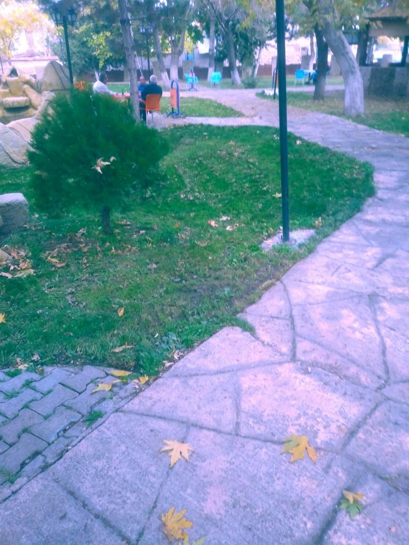 PARK VE BAHÇE HİZMETLERİ faaliyet gorseli