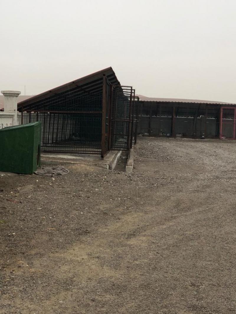 CUMHURİYET MAHALLESİ STAD CADDESİNDE BULUNAN HAYVAN BARINAĞINA TEL ÖRGÜ YAPIMI faaliyet gorseli