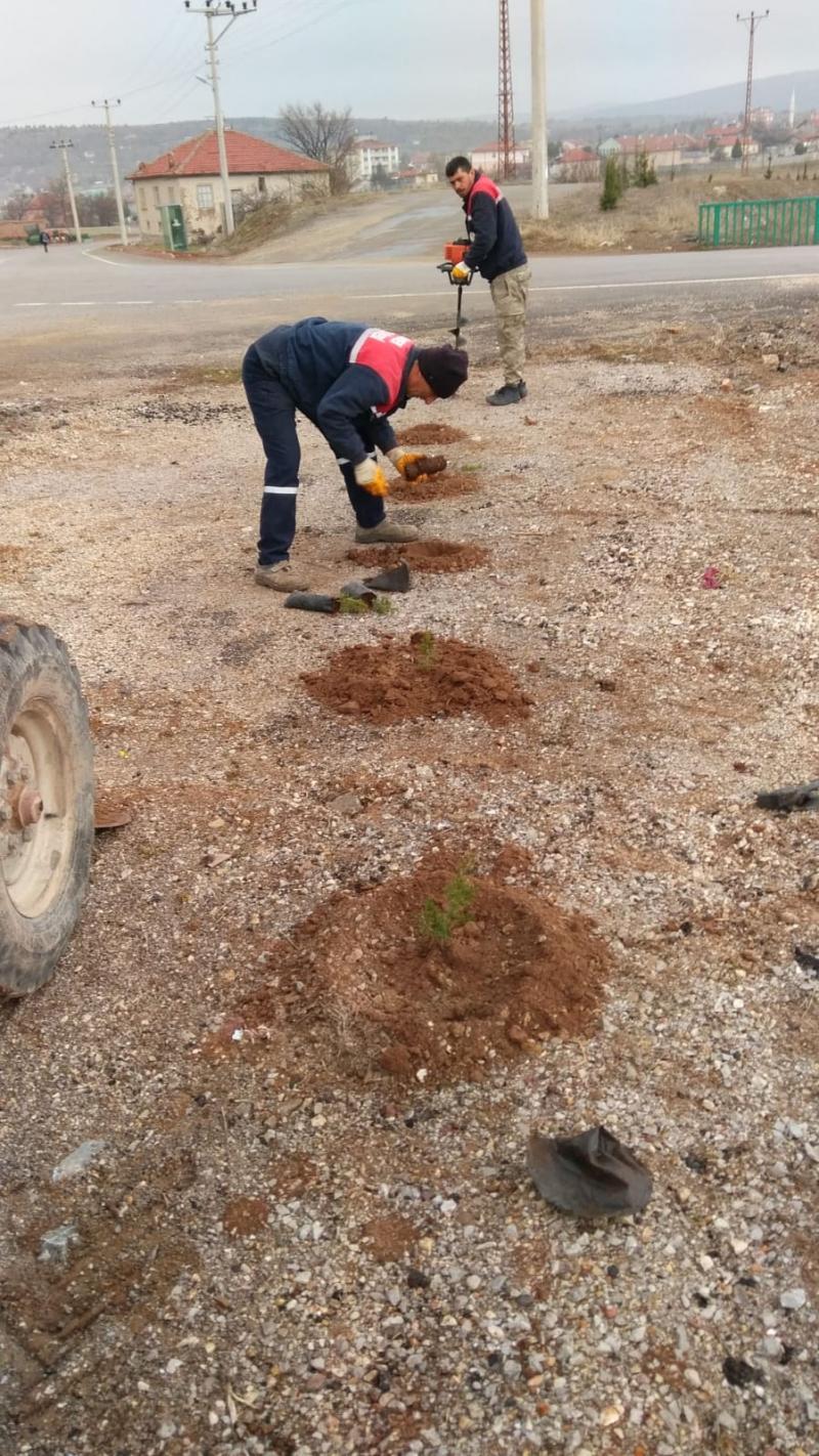 AĞAÇLANDIRMA ÇALIŞMALARI faaliyet gorseli