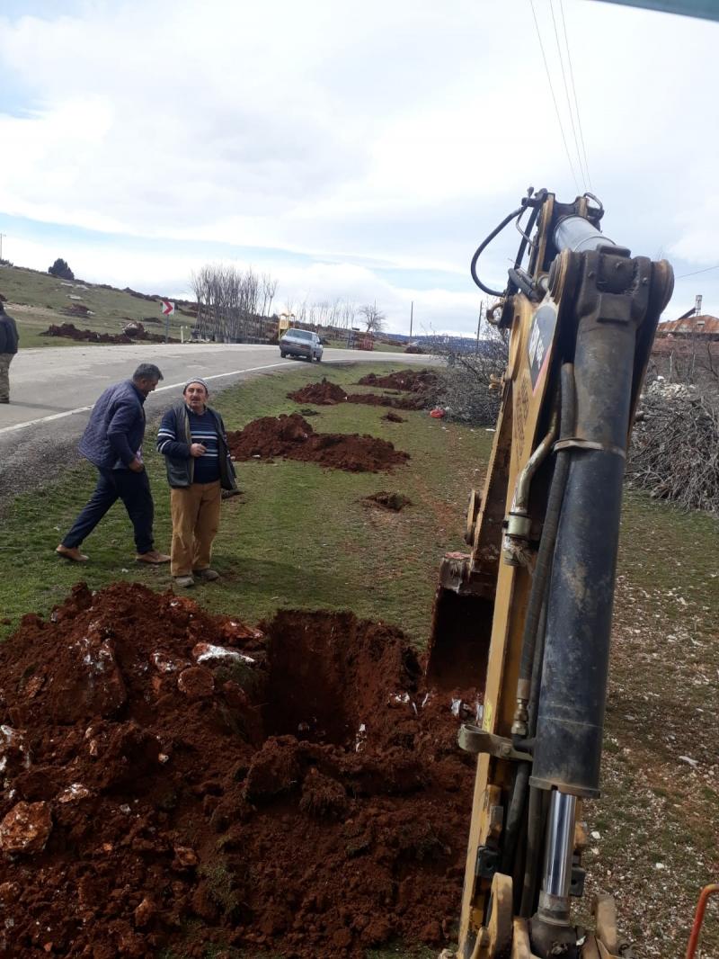 AĞAÇLANDIRMA ÇALIŞMALARI faaliyet gorseli