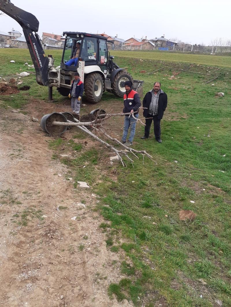 AĞAÇLANDIRMA ÇALIŞMALARI faaliyet gorseli