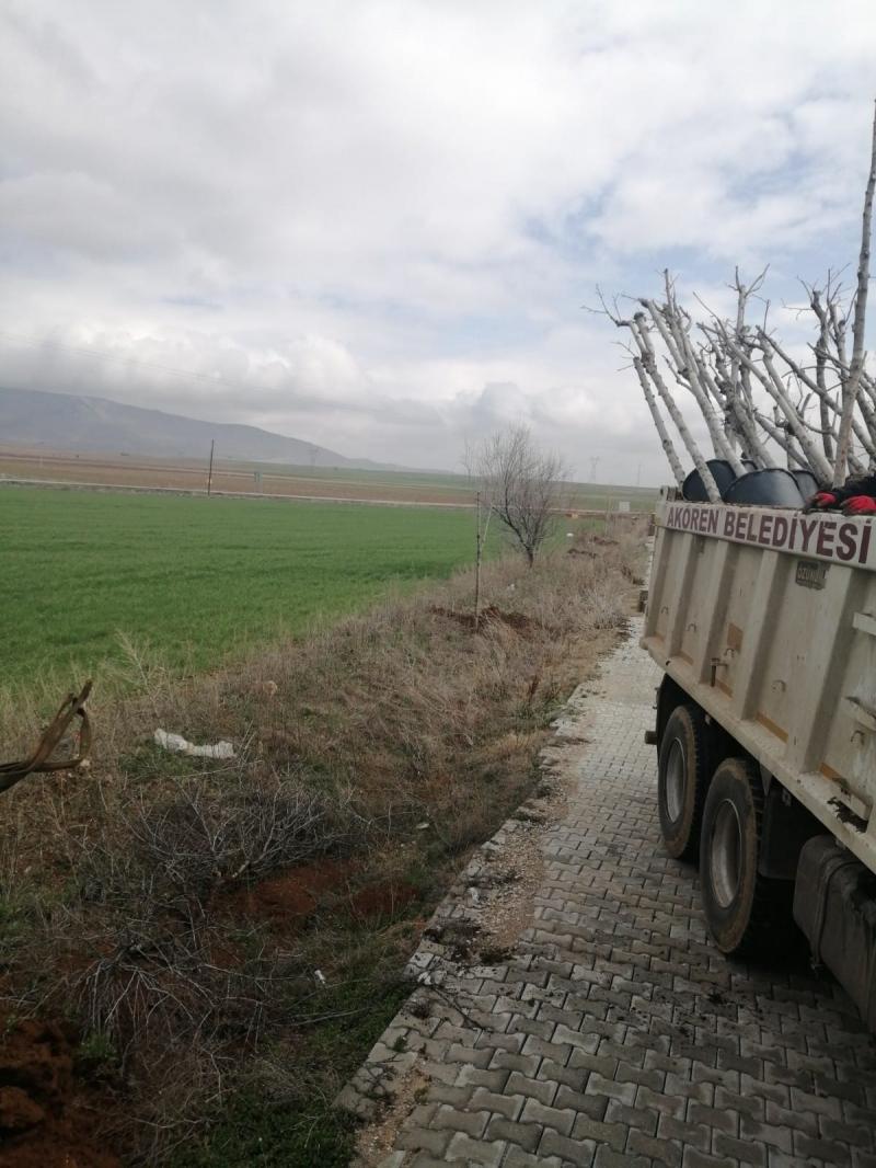 AĞAÇLANDIRMA ÇALIŞMALARI faaliyet gorseli
