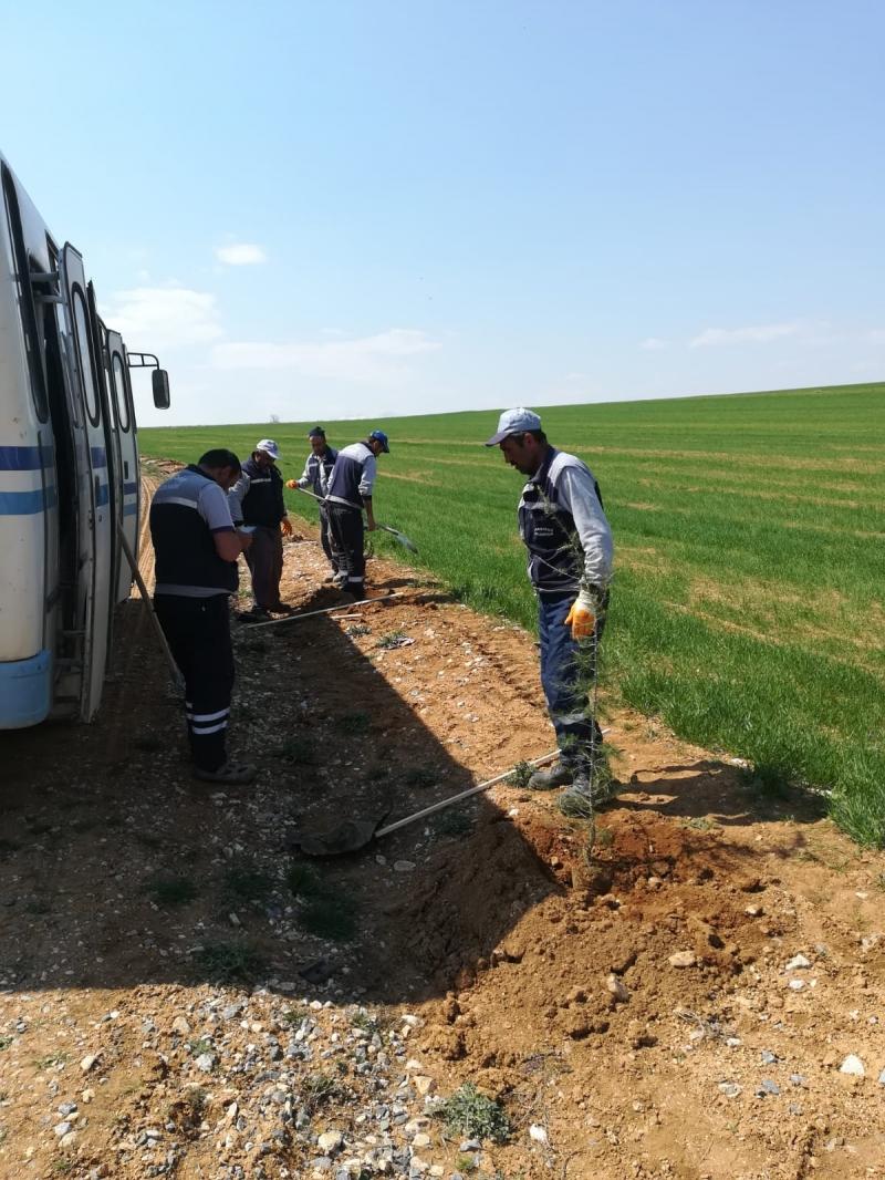 AĞAÇ DİKME ETKİNLİĞİ faaliyet gorseli