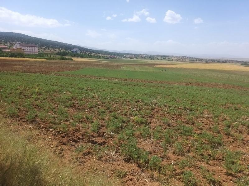 İMAR ÇALIŞMASI faaliyet gorseli