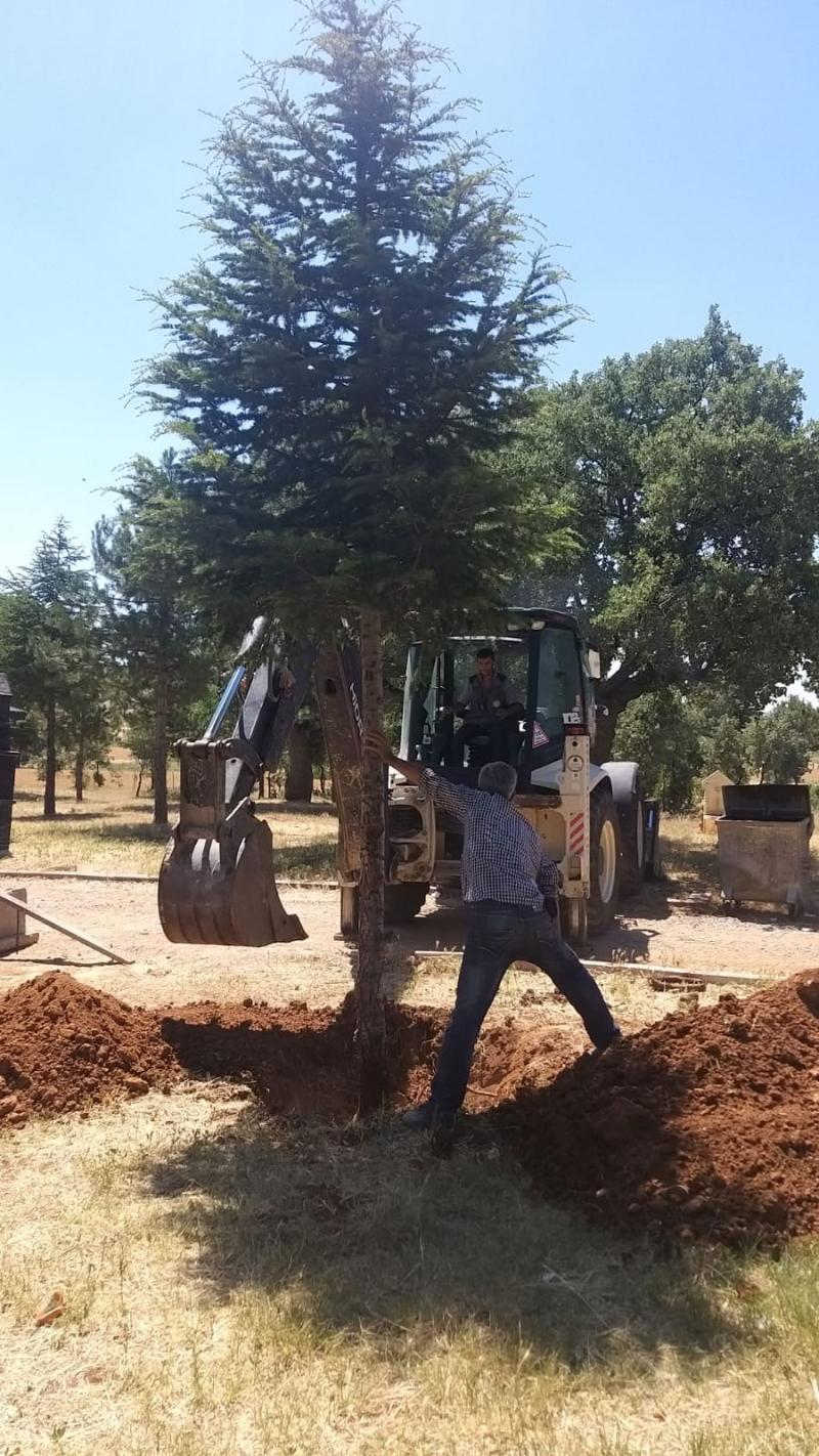 KIR DÜĞÜN ALANI YAPIMI faaliyet gorseli