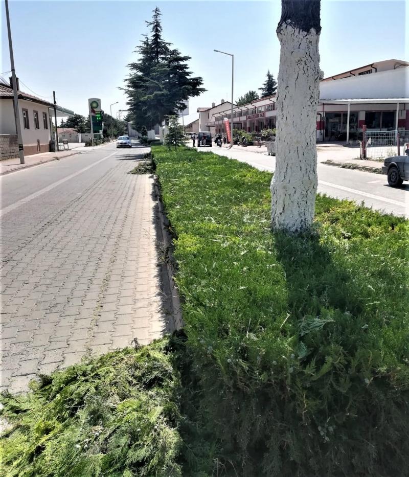 BAYRAM TEMİZLİĞİ faaliyet gorseli