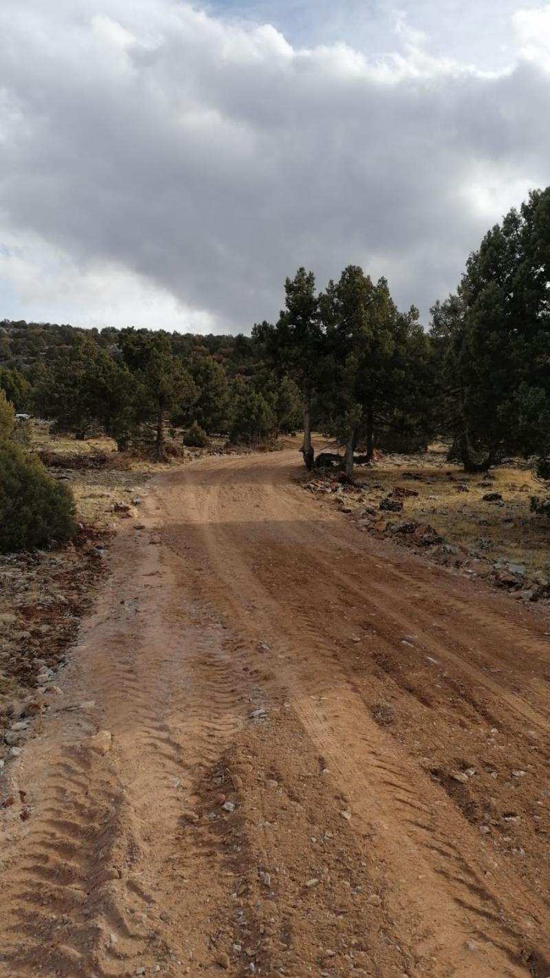 ALAN MAHALLESİ SARAYCIK YOLU ÇALIŞMALARI faaliyet gorseli