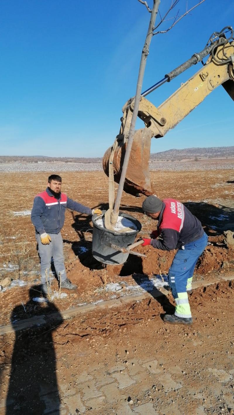 AĞAÇLANDIRMA ÇALIŞMALARI faaliyet gorseli