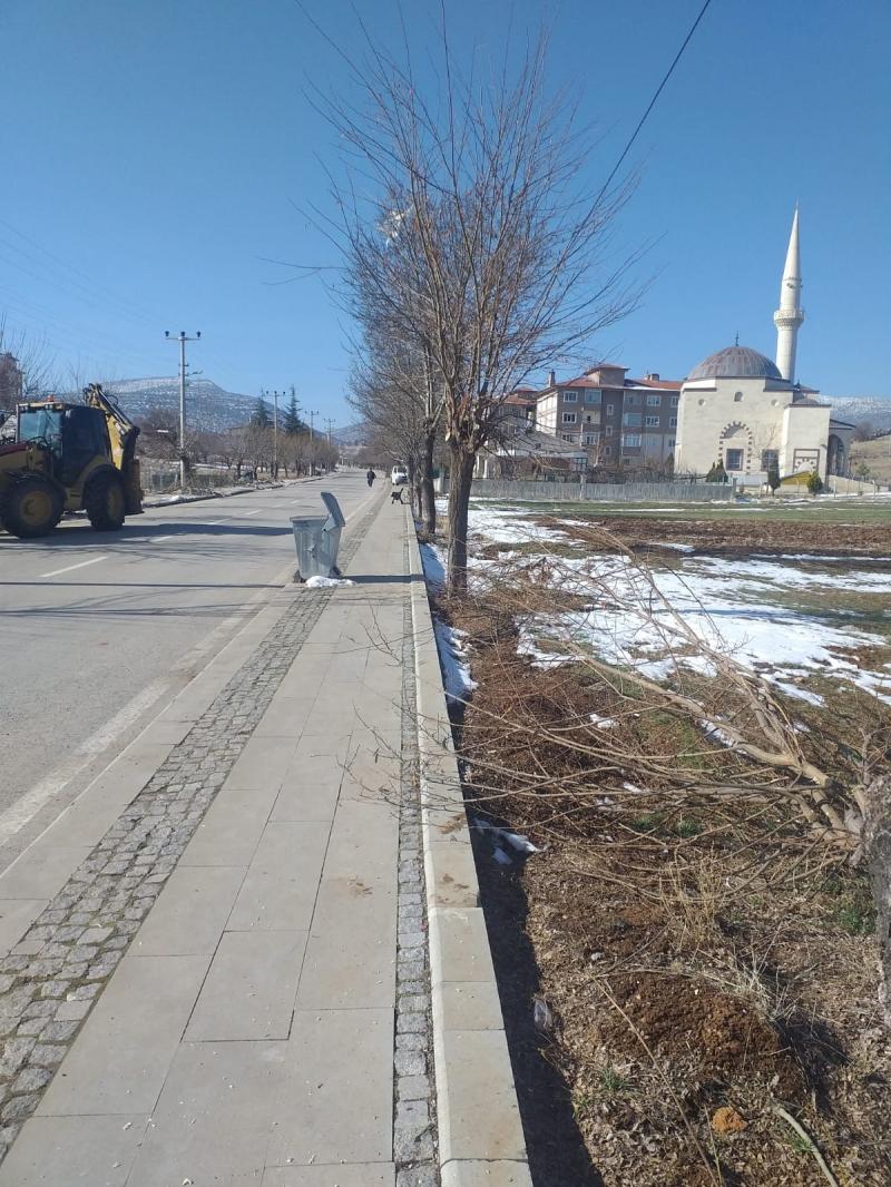 ÇEVRE DÜZENLEME ÇALIŞMALARI-AĞAÇ BUDAMA faaliyet gorseli