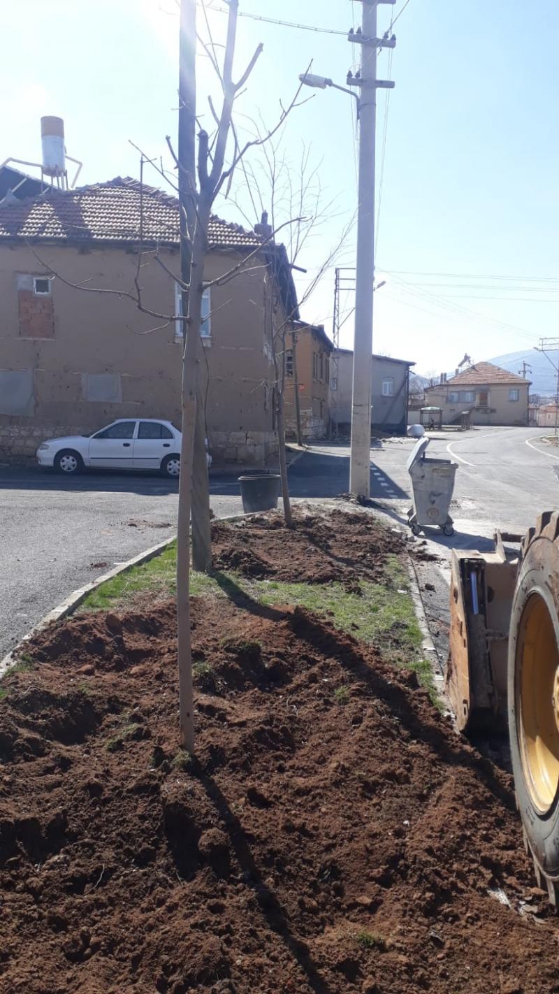 MEYVE FİDANI DİKİMİ faaliyet gorseli