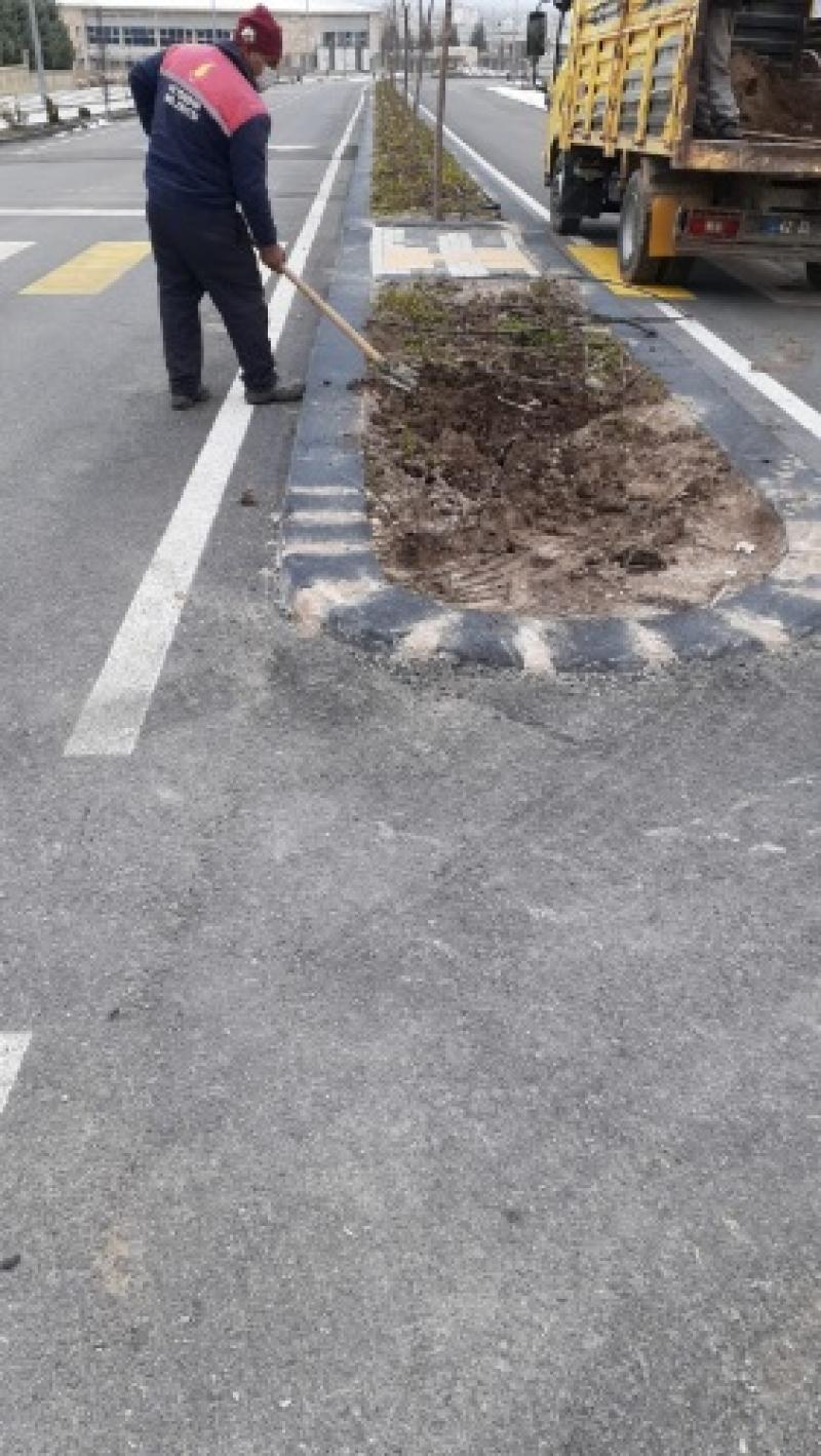 YOL KENARLARI TEMİZLEME VE AĞAÇLANDIRMA ÇALIŞMASI. faaliyet gorseli