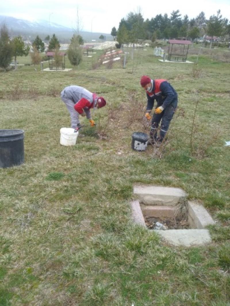 GÜL BUDAMASI YAPILDI. faaliyet gorseli