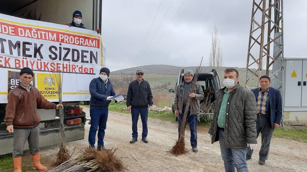 BADEMLİ MAHALLESİ ELMA FİDANI DESTEĞİ faaliyet gorseli