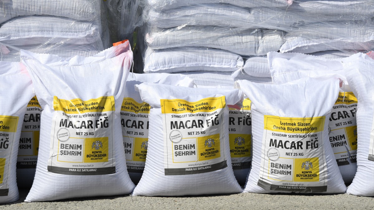 KAYACIK MAHALLESİ MACAR FİĞİ DESTEĞİ faaliyet gorseli