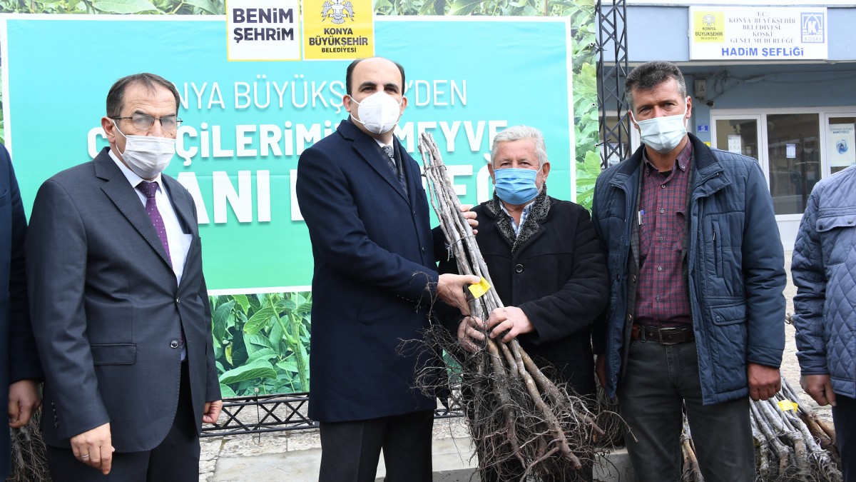 MERKEZ MAHALLESİ CEVİZ FİDANI DESTEĞİ faaliyet gorseli