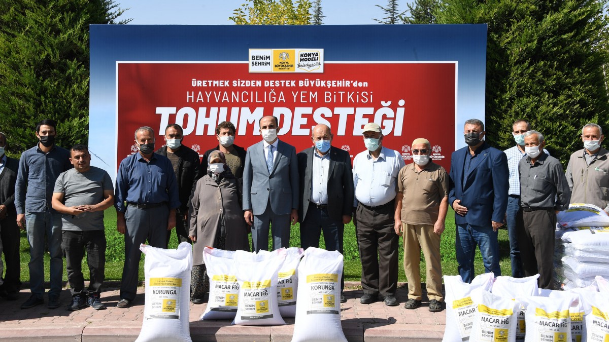 MERKEZ MAHALLESİ MACAR FİĞ TOHUMU DESTEĞİ faaliyet gorseli