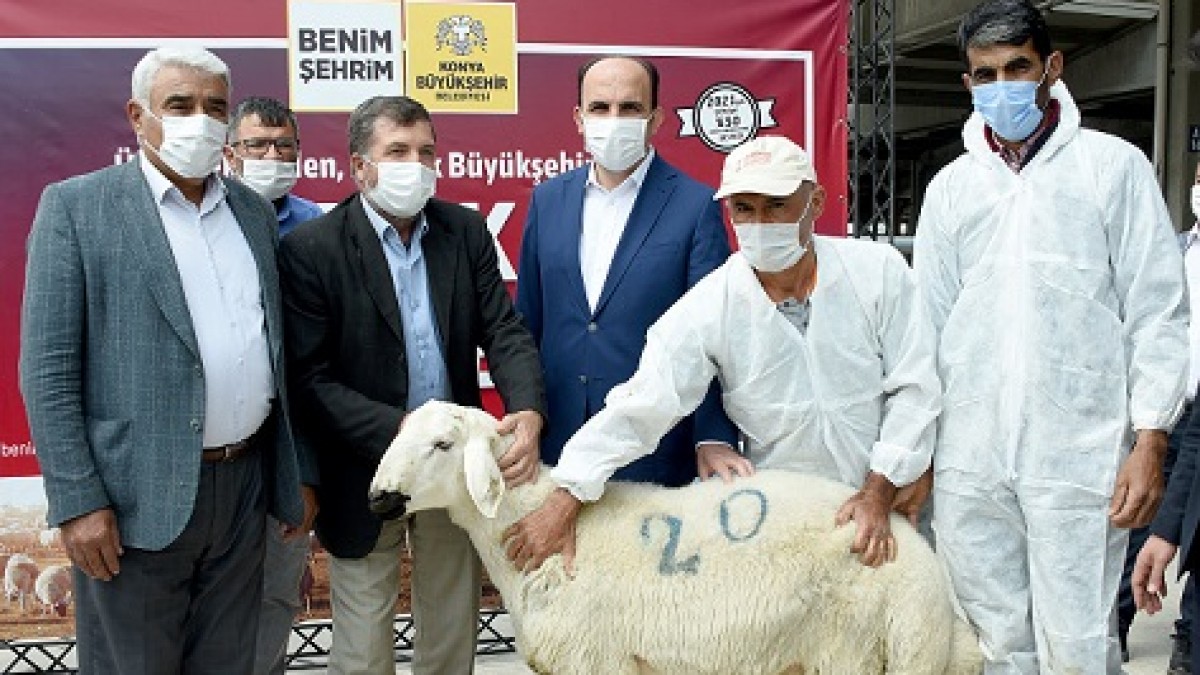 AĞALAR MAHALLESİ DAMIZLIK KOÇ DESTEĞİ faaliyet gorseli