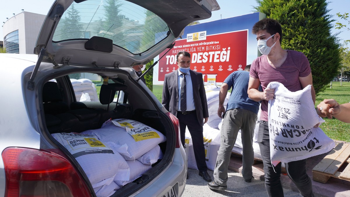 HACILAR MAHALLESİ TOHUM DESTEĞİ faaliyet gorseli