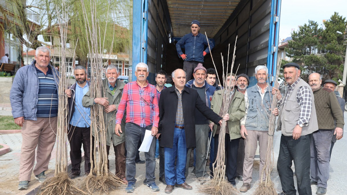 ATAKENT  MAHALLESİ FİDAN DESTEĞİ faaliyet gorseli