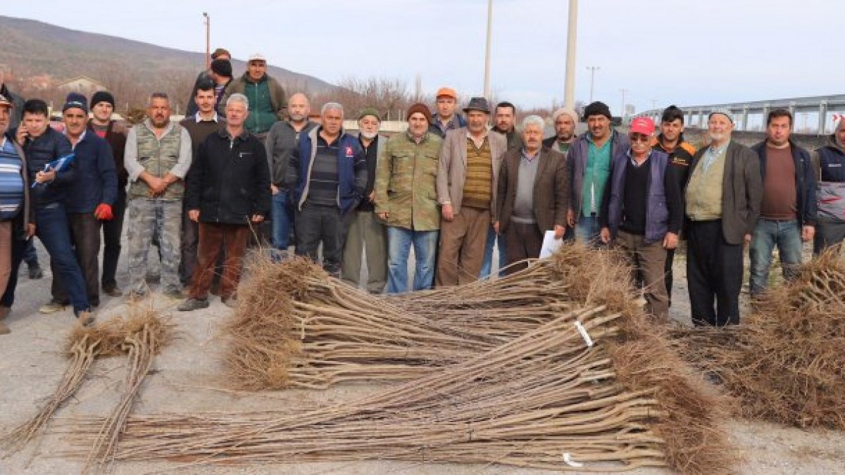 ATAKENT MAHallesi MEYVE FİDANI DESTEĞİ faaliyet gorseli