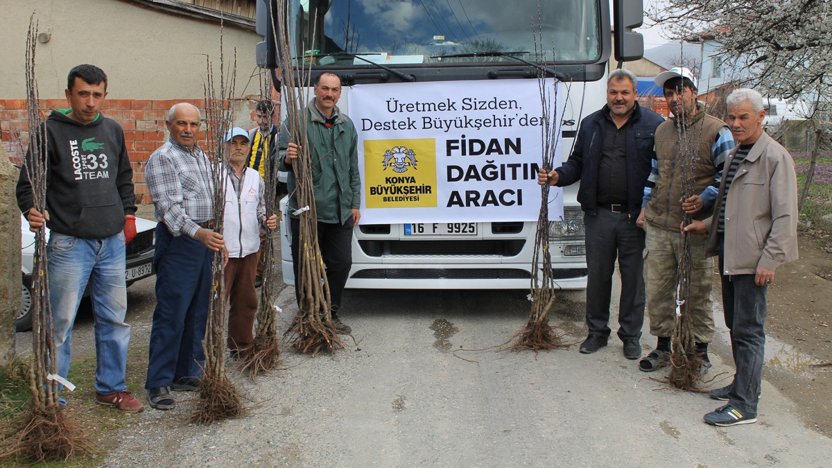 ÇAMLI MAHALLESİ MEYVE FİDANI DESTEĞİ faaliyet gorseli