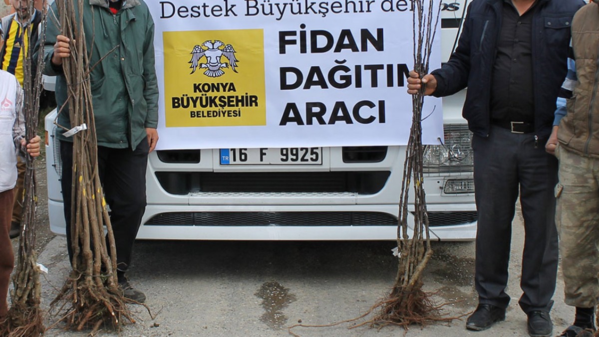 DEĞİRMENKÖY MAHALLESİ MEYVE FİDANI DESTEĞİ faaliyet gorseli