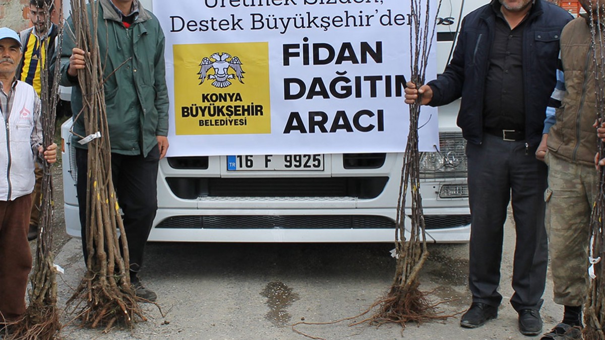 DOĞRUGÖZ MAHALLESİ MEYVE FİDANI DESTEĞİ faaliyet gorseli