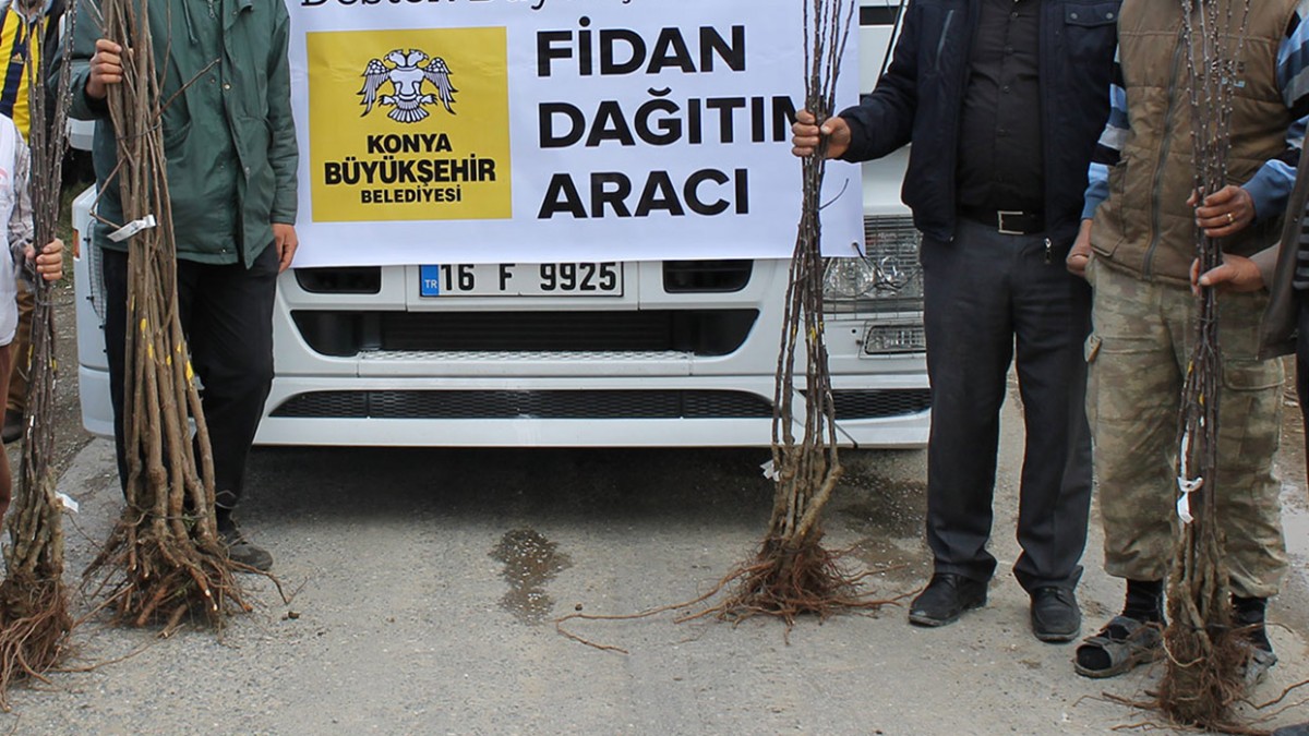 GEDİL MAHALLESİ MEYVE FİDANI DESTEĞİ faaliyet gorseli