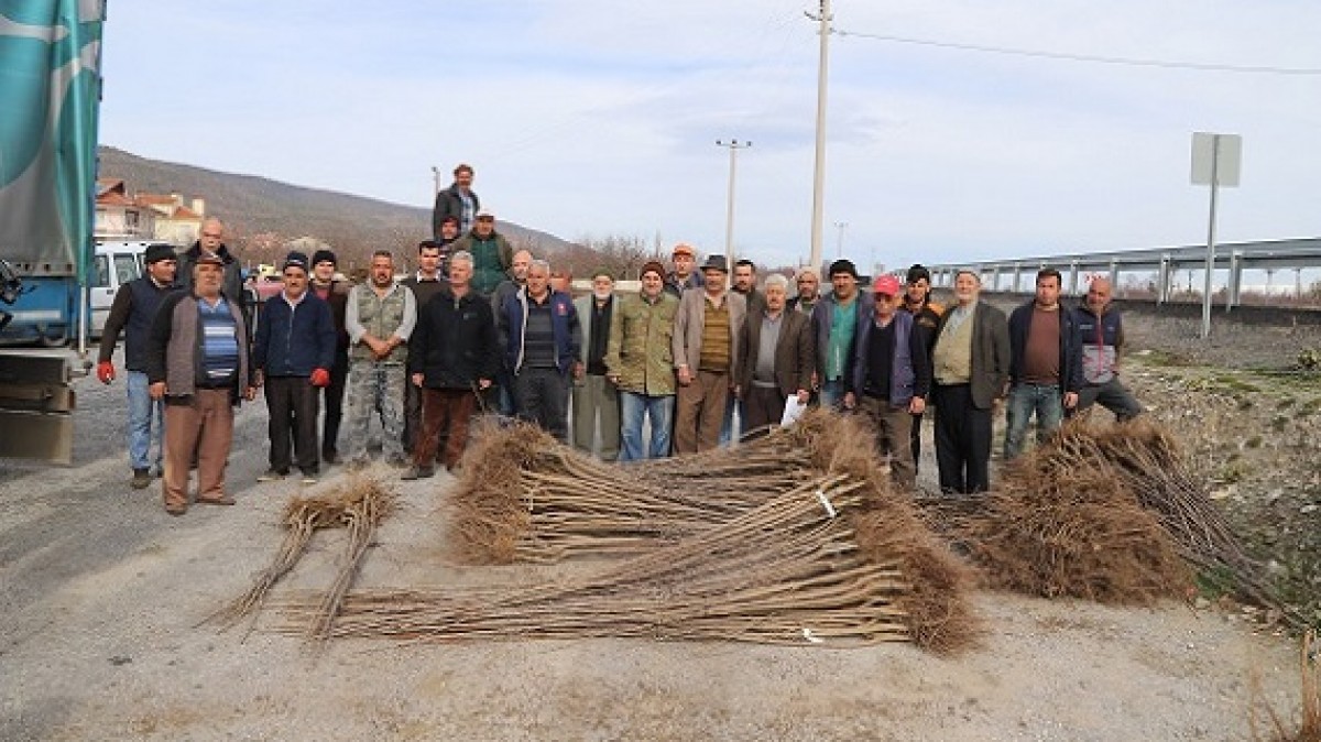 DEĞİRMENKÖY MAHALLESİ FİDAN DESTEĞİ faaliyet gorseli