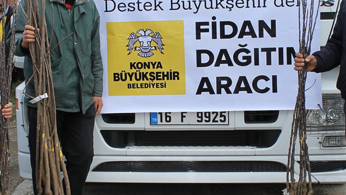 KURUÇAY MAHALLESİ MEYVE FİDANI DESTEĞİ faaliyet gorseli